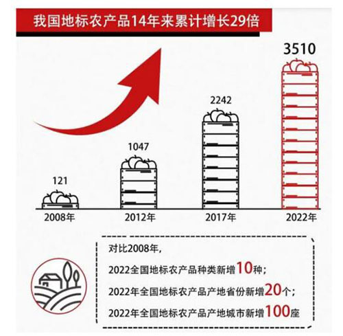全新标准化毛和友烤鸡，一举颠覆吃鸡赛道